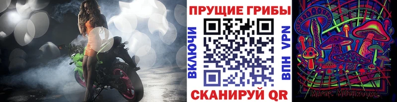 Псилоцибиновые грибы прущие грибы  блэк спрут ССЫЛКА  Димитровград 